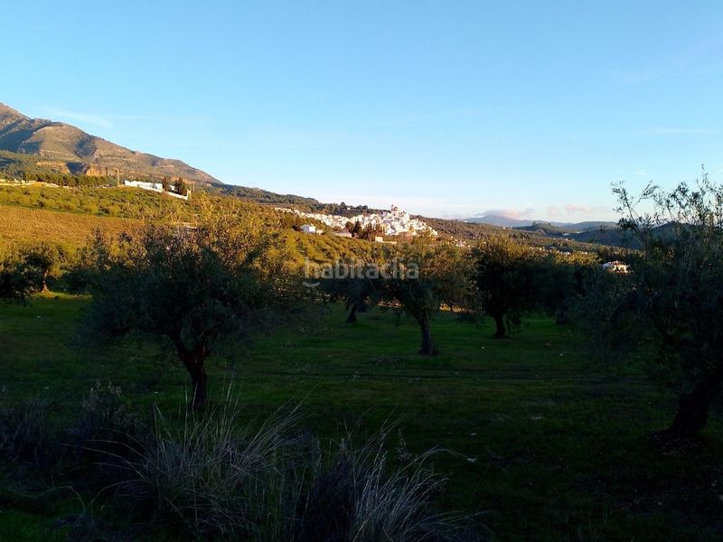 Foto 4fc9de94-93cc-4991-84a0-67a3230c638f. Finca rústica a Alozaina