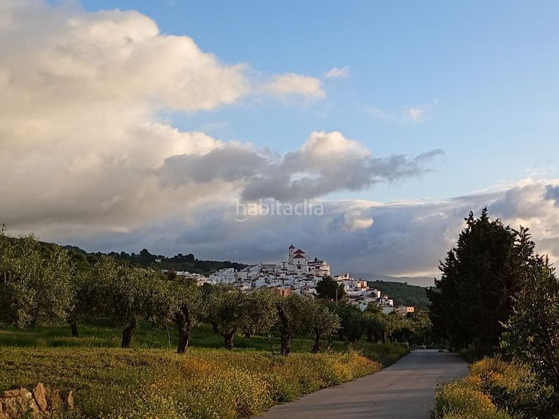Foto 6c69ee29-c434-4268-a131-ce44cfdf7761. Finca rústica a Alozaina