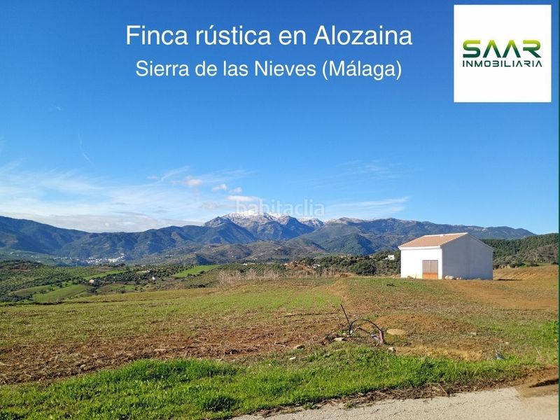 Foto 763218d5-01b9-4838-8094-15560559a6f0. Finca rústica a Alozaina