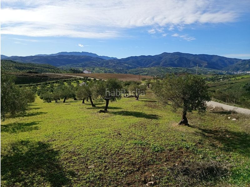 Foto 9341da3d-493e-46ea-89f0-7f6b30ad9af7. Finca rústica a Alozaina