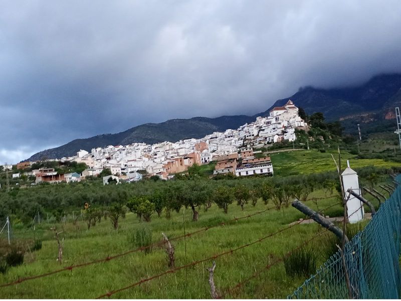 Foto d7d5db23-9a78-4cac-a8f5-c5dff79c55a1. Finca rústica a Alozaina