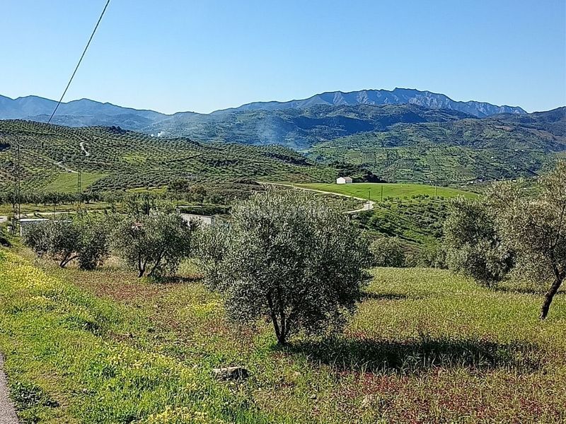 Foto f2a5a417-5798-4dd3-8a05-90015d7e3a18. Finca rústica a Alozaina