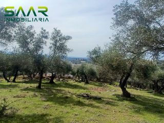 Landgut in Constantina. Finca rústica en constantina sevilla