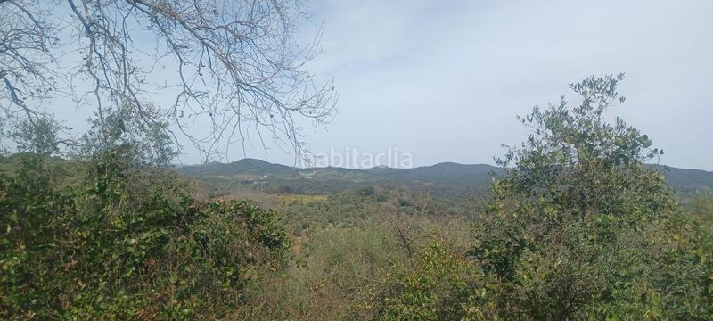 Foto fc738d78-23c0-449e-a2fe-dc589adb065a. Finca rústica a Constantina