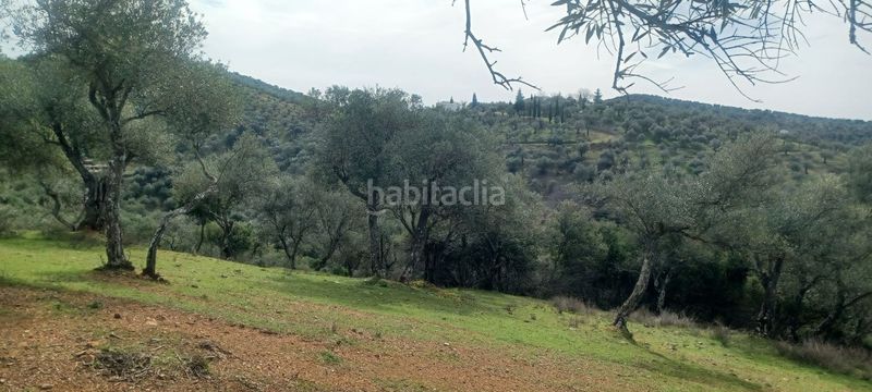 Foto 0e8d041a-f220-420b-9dbb-d16b8b091ebb. Finca rústica a Constantina