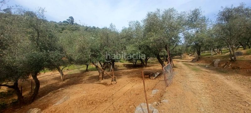 Foto 16ff8959-e3db-4421-a8c7-238c45580f88. Finca rústica a Constantina