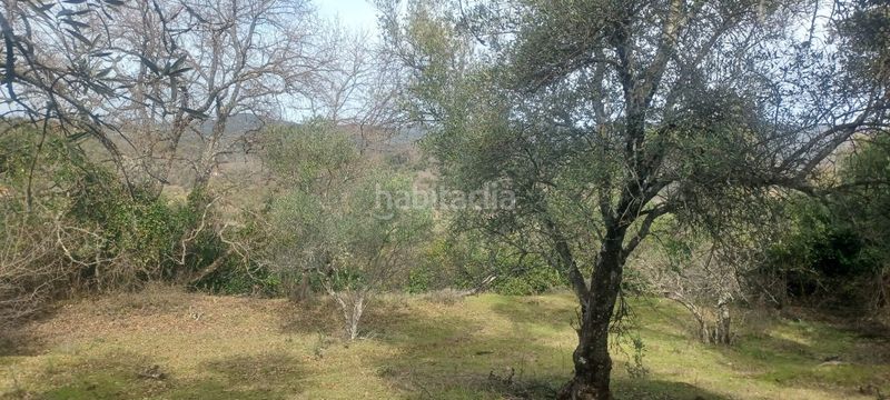 Foto 2839734a-ebe2-4244-b0a7-d5283a519fd5. Finca rústica a Constantina