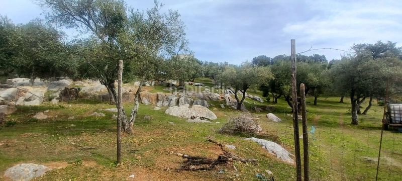 Foto 3403a868-dd55-4984-8e3d-84b1f6de4efa. Finca rústica a Constantina