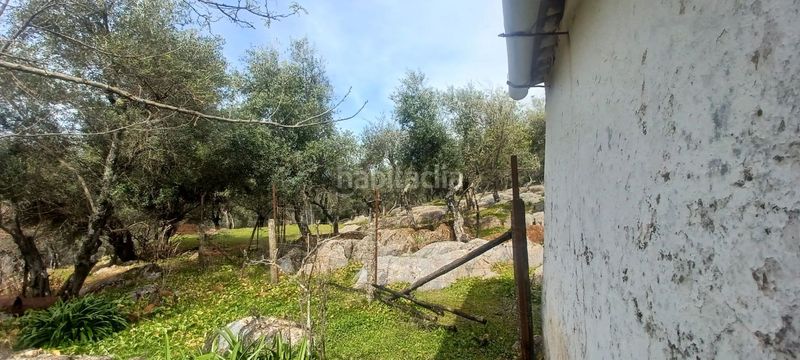 Foto 41a67151-c245-47b0-a7c1-1d2940b2944b. Finca rústica a Constantina