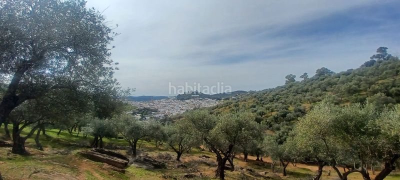 Foto 42598887-3786-4d2c-aca2-8aa5827b0cec. Finca rústica a Constantina