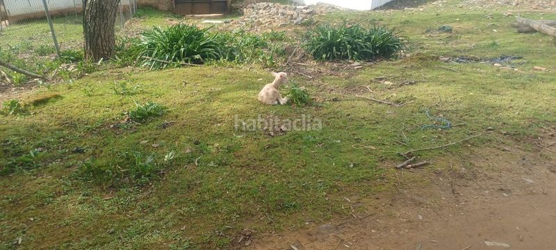 Foto 586530e6-e36d-4485-9c31-5800a98b2edb. Finca rústica a Constantina