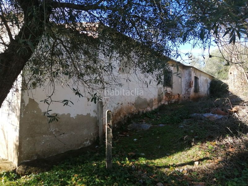 Foto 5975ae41-859c-4cd9-9f39-b794a6b9a988. Finca rústica a Constantina