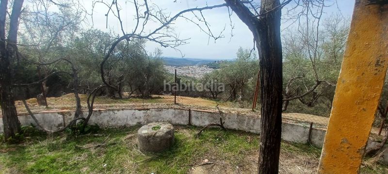 Foto 5c26c7f5-271e-4dac-a172-5f73a0d8d7b7. Finca rústica a Constantina
