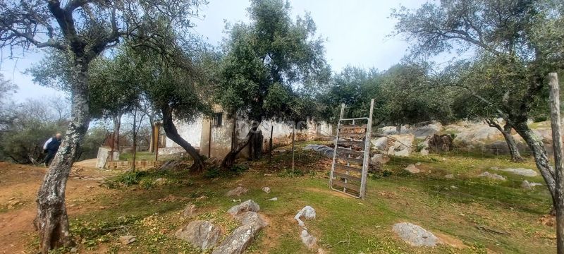 Foto 5d853d67-9126-4348-b2e3-a16aa1c1f94e. Finca rústica a Constantina