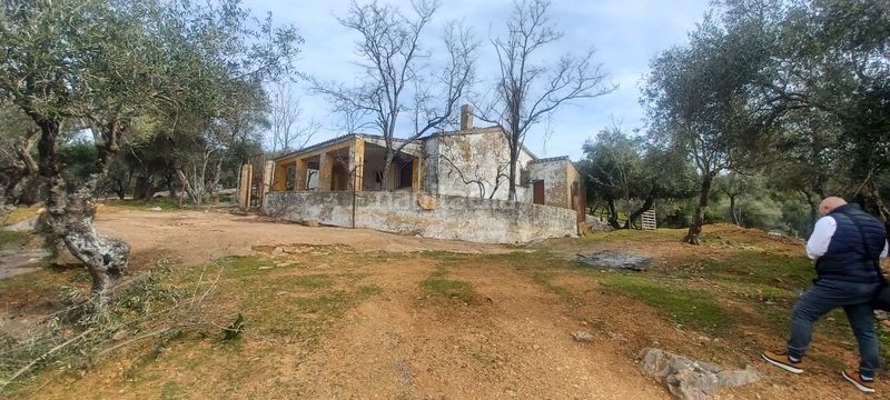 Foto 665850d7-1eb5-4835-b2d4-2e64c0442e4e. Finca rústica a Constantina