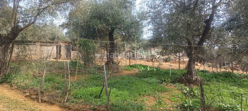 Foto 8851be39-d7d6-41e2-8007-d533484cb4bd. Finca rústica a Constantina