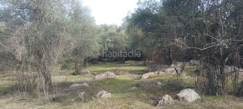 Foto 8adca016-78a3-4232-8862-8f9bd72c84c6. Finca rústica a Constantina