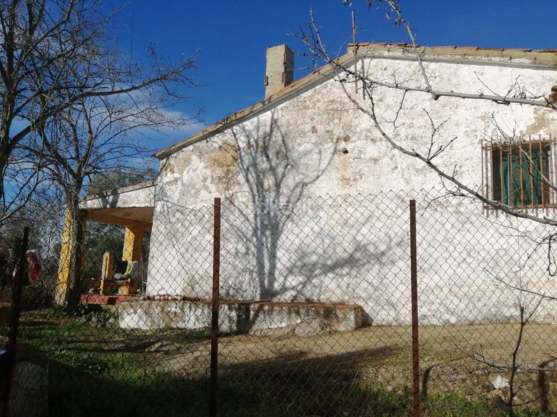 Foto 9049d17e-7470-440b-b653-a30ee4f4b4cf. Finca rústica a Constantina