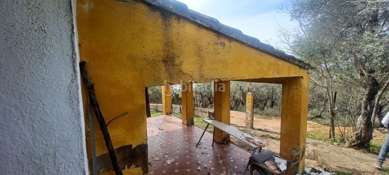 Foto 9f1c2633-9de4-4ca0-97ce-bf32951b623e. Finca rústica a Constantina