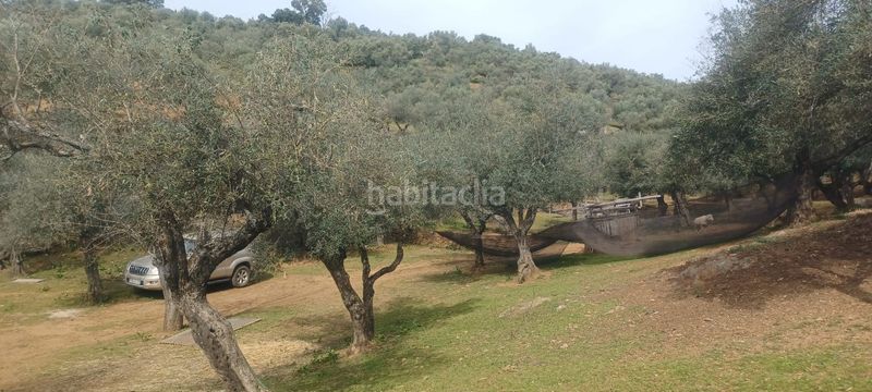 Foto a54adc8c-97f2-4731-8aae-d0feab2fabcf. Finca rústica a Constantina