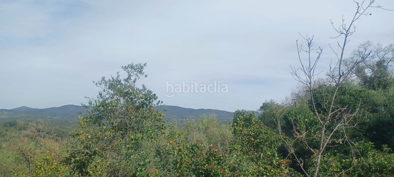 Foto b26cf577-4b0c-41bf-8a26-e695357e649f. Finca rústica a Constantina