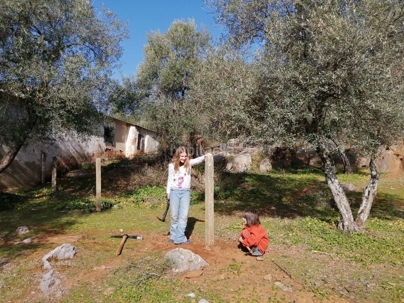 Foto b5e5e6ef-61e8-47b8-bd9f-ecff3dad94b5. Finca rústica a Constantina