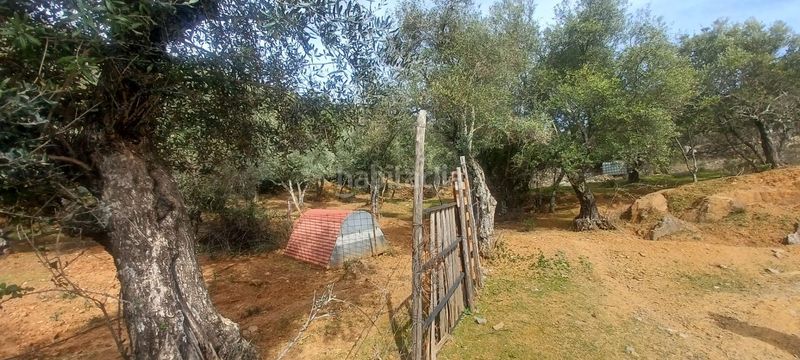 Foto cef53aac-958f-4ea5-94e7-fc66c321c17a. Finca rústica a Constantina