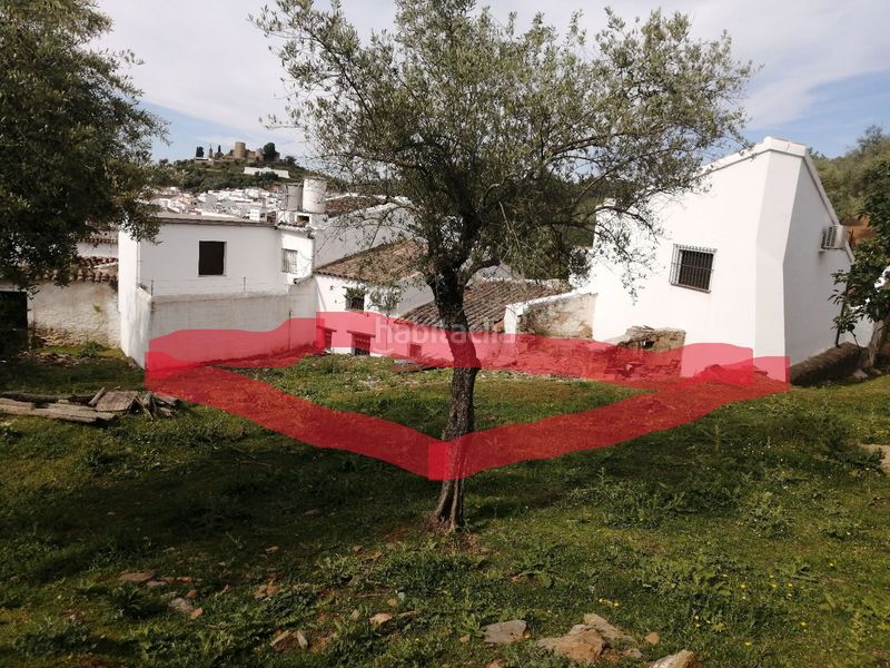 Foto eb75e8e5-471c-4776-bac0-541b1ec59b6a. Finca rústica a Constantina