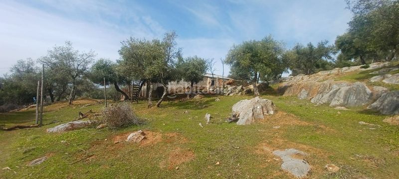 Foto fe432d91-b45f-4a27-81cf-893f375f1754. Finca rústica a Constantina