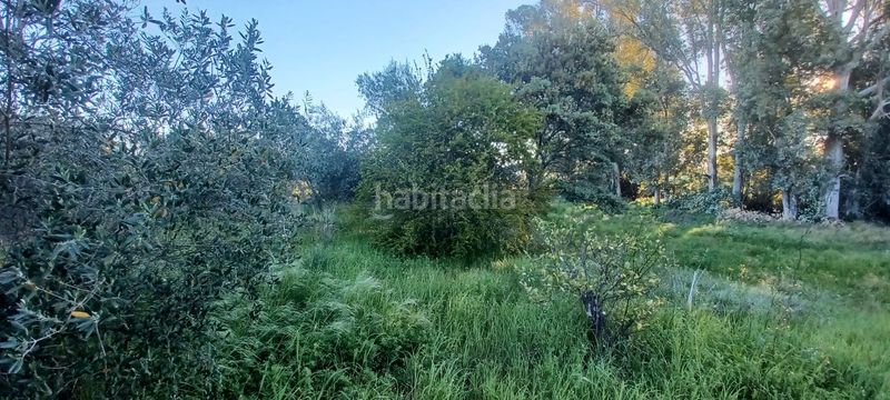Foto 715f8d38-886e-4b54-90df-dddaec7d506d. Casa a Castilblanco de los Arroyos