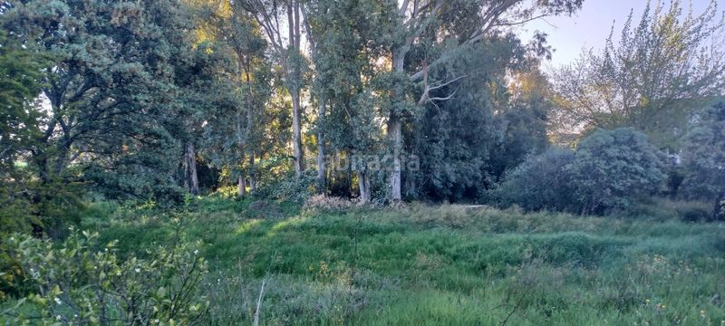 Foto 8abf42f7-db3b-4ead-a615-fa2bbcd90f31. Casa a Castilblanco de los Arroyos