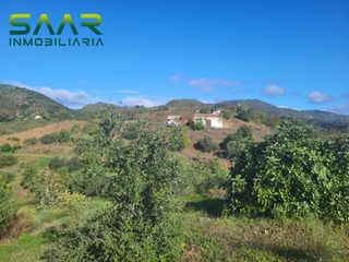 Landgut in Almogía. Finca rústica con casa de aperos legalizada  almogía zona fuente
