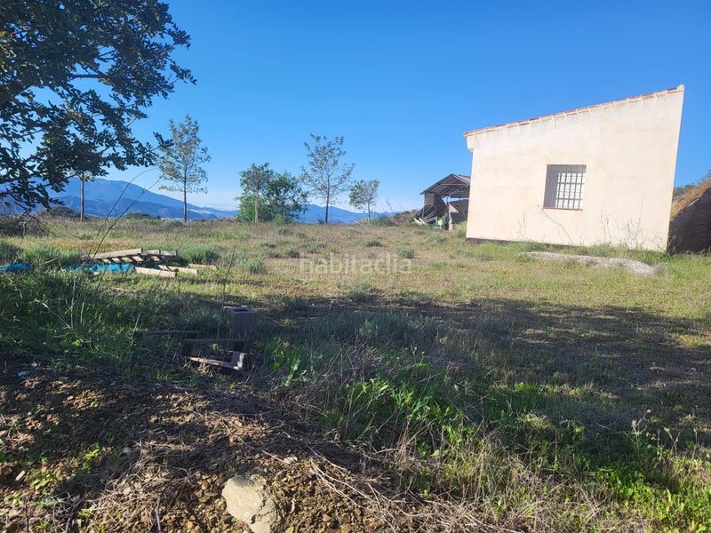 Foto 14c10ea9-a990-4f99-9536-280adea735b4. Finca rústica a Almogía