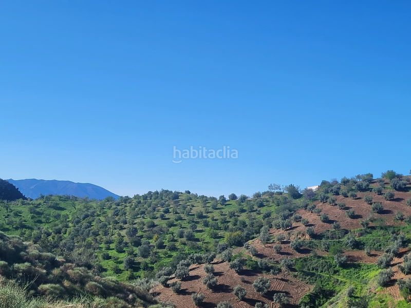 Foto 1d91926b-ca8c-490d-b639-1892046f703e. Finca rústica a Almogía