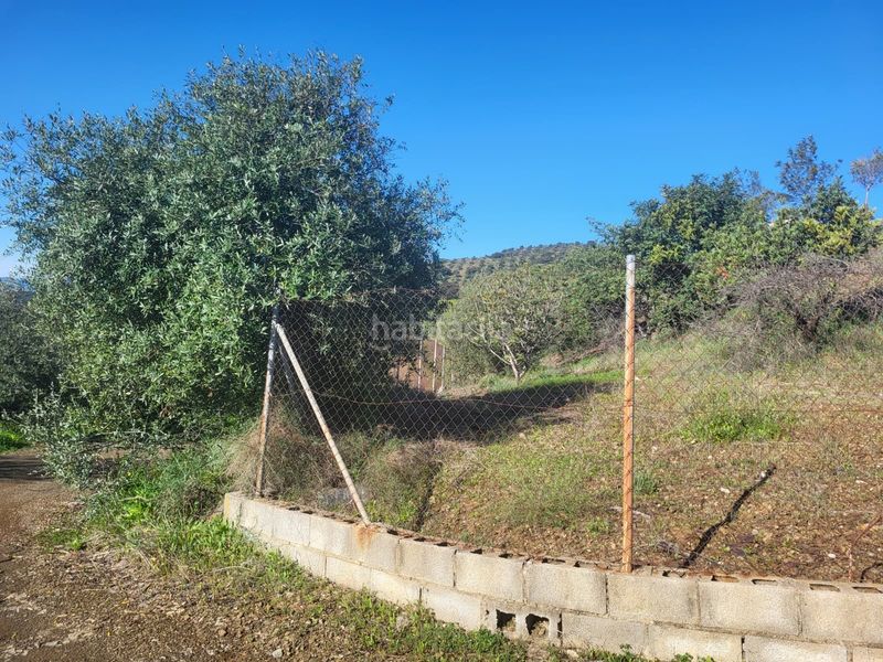 Foto 1ddc8945-7c26-4cde-b0e3-d3feac4d6a49. Finca rústica a Almogía