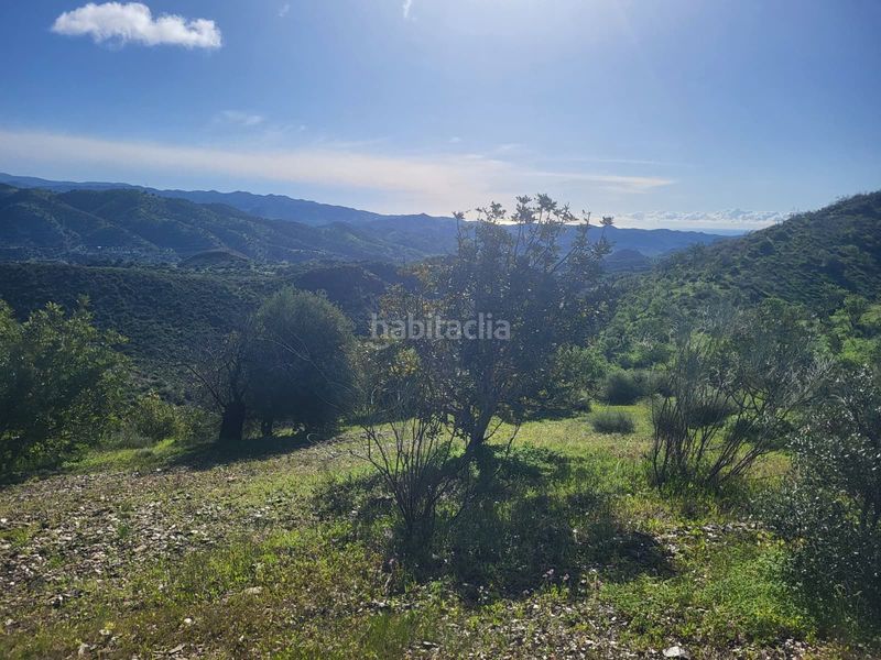 Foto 3814d085-3e07-4fe5-8d30-2e6ee5bde87b. Finca rústica a Almogía