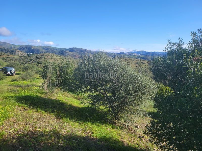 Foto 40aafa3b-10b5-4a44-8f78-e653cb03c960. Finca rústica a Almogía