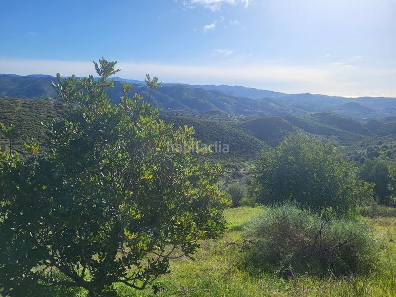 Foto 763c2a4c-919d-4d35-bdc8-61829b652c59. Finca rústica a Almogía