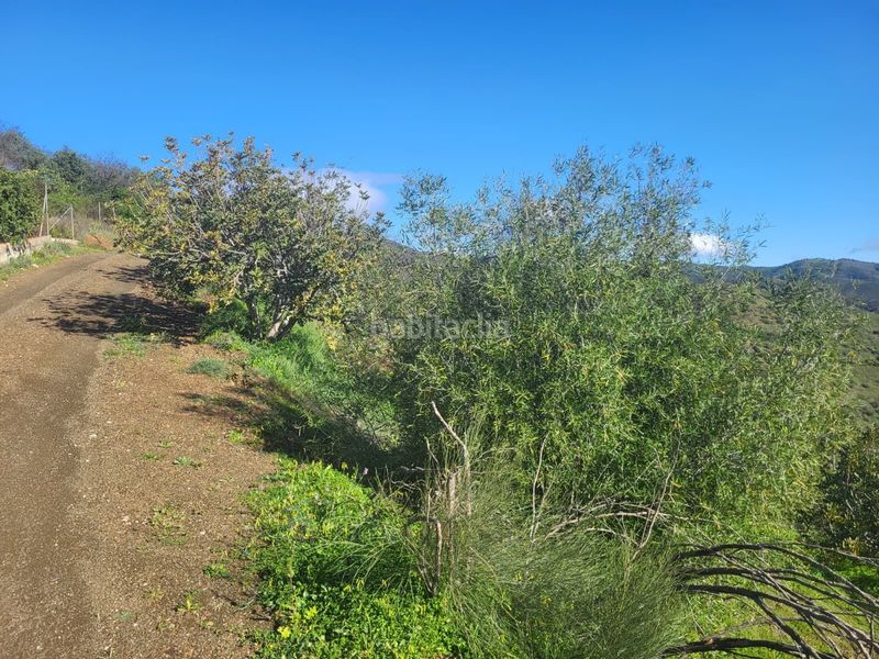 Foto 98210107-1101-4374-b84e-77fa8e549062. Finca rústica a Almogía