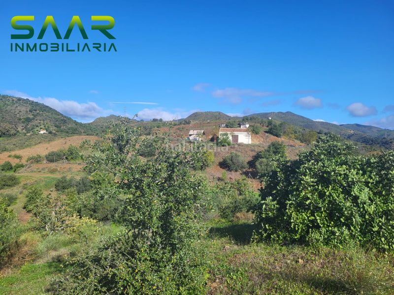 Foto e2b4c5c4-e2c8-4495-a87a-b4b2eece587b. Finca rústica a Almogía