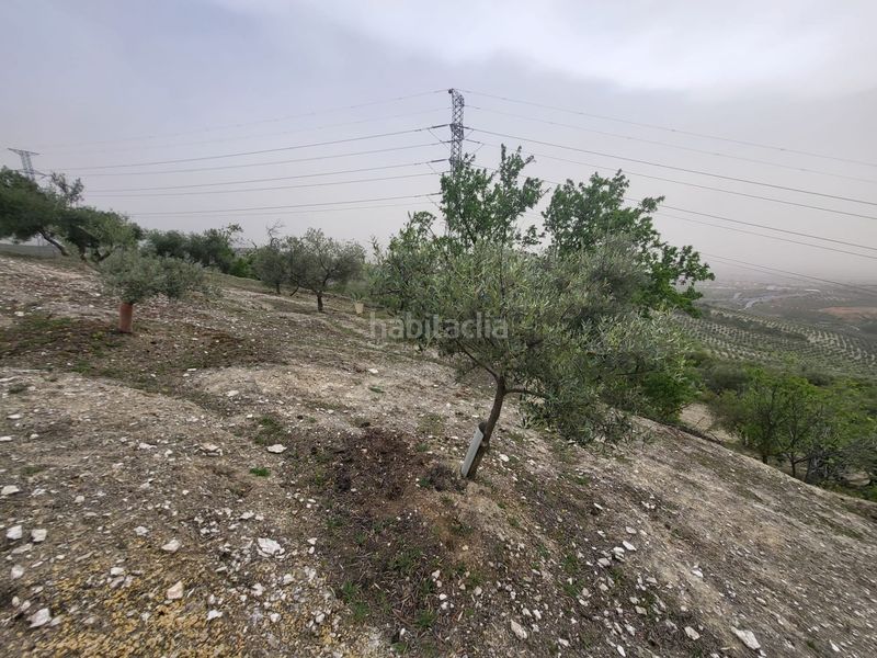 Foto 96b243b6-4a1a-41a0-908d-c501362b3d31. Finca rústica a Güevéjar