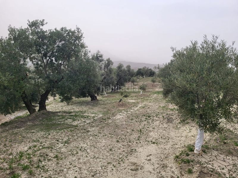 Foto c4c995df-aef1-4ac5-9101-bb21e26b78e4. Finca rústica a Güevéjar