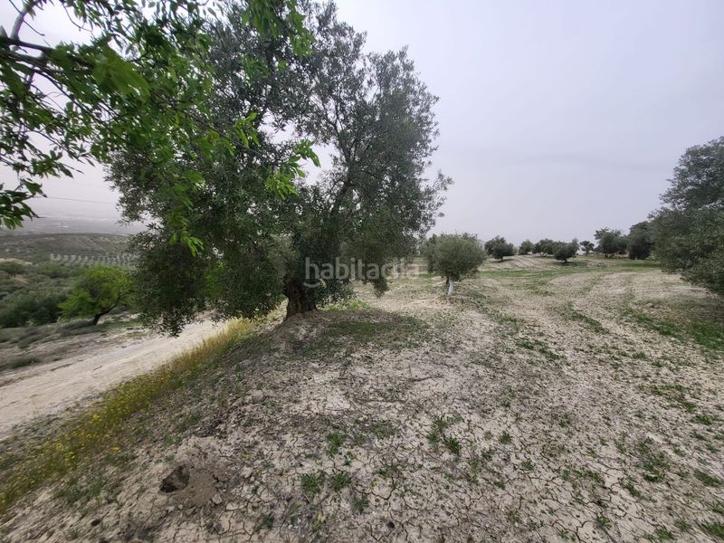 Foto c62d265f-4ac4-4bfb-bd2a-149d8684b765. Finca rústica a Güevéjar