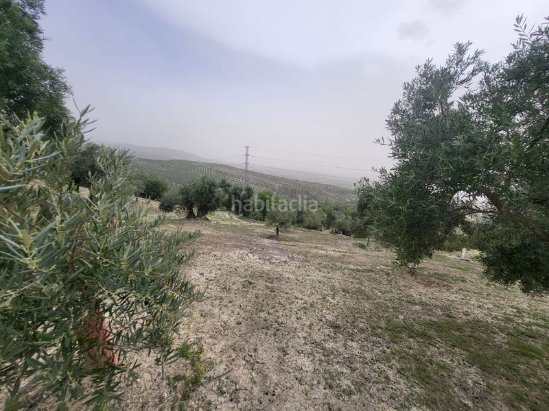 Foto d0b663b5-17a4-4de5-bce6-f468562e33c3. Finca rústica a Güevéjar