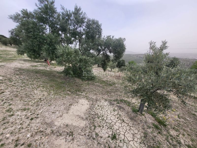 Foto fa8546e5-0254-42b8-9af5-f9cb8128e7bc. Finca rústica a Güevéjar