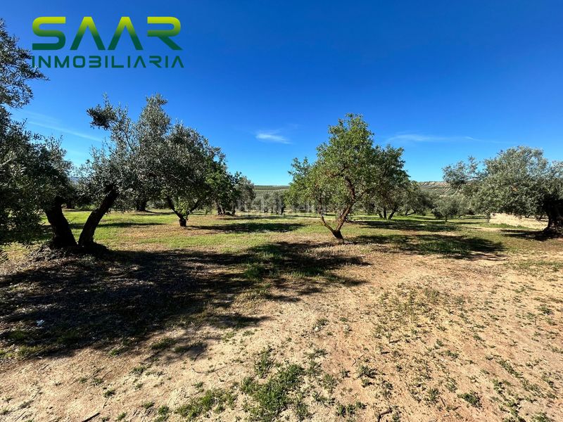 Foto df50c084-aa90-4121-921b-d9320f82f71a. Finca rústica a Chimeneas
