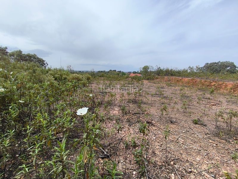 Foto dc12b195-f4b7-4430-913a-67e1d5c7d625. Terreny residencial a Los Lagos Guillena