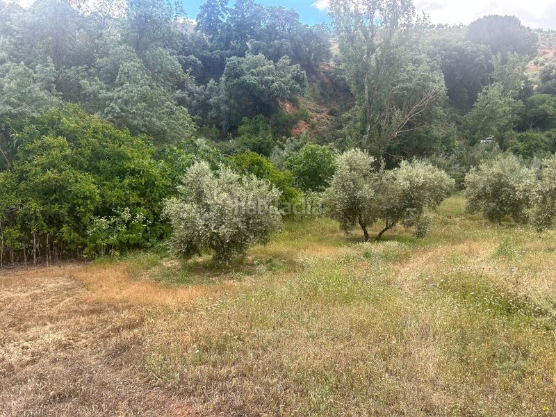 Foto 08e5cd15-8931-4133-8347-0d8112b69fb2. Finca rústica a Calicasas