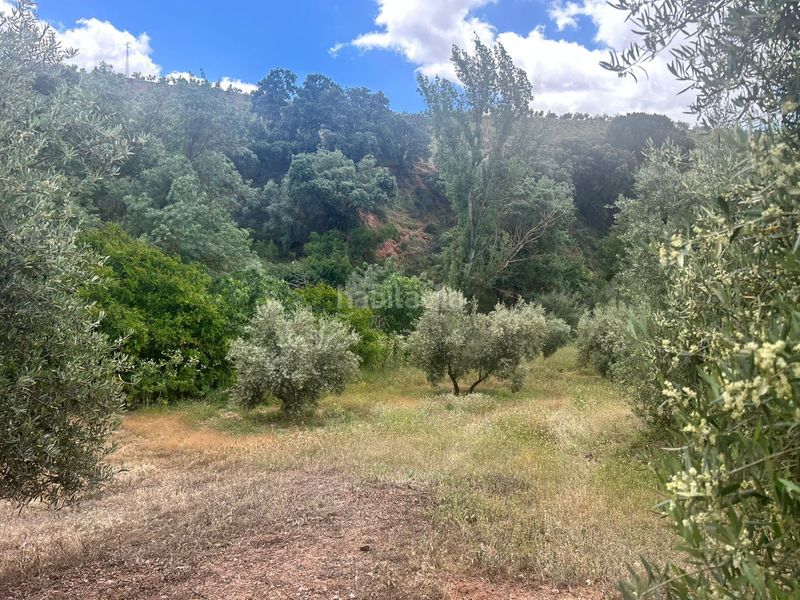 Foto 2d7d0e68-cc26-4047-a2e4-eb0f76351e1e. Finca rústica a Calicasas
