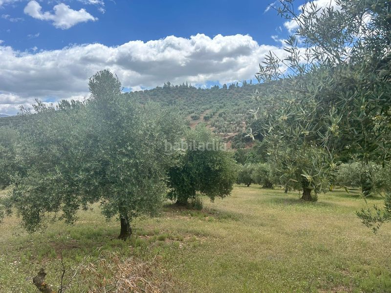 Foto 67b72330-7436-4361-b7f9-9fa48f67cfc3. Finca rústica a Calicasas